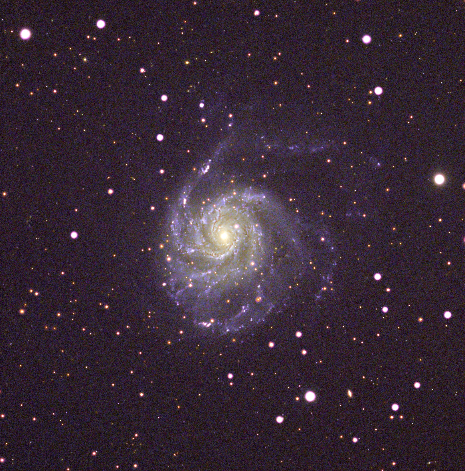 Fireworks Galaxy (NGC 6946)